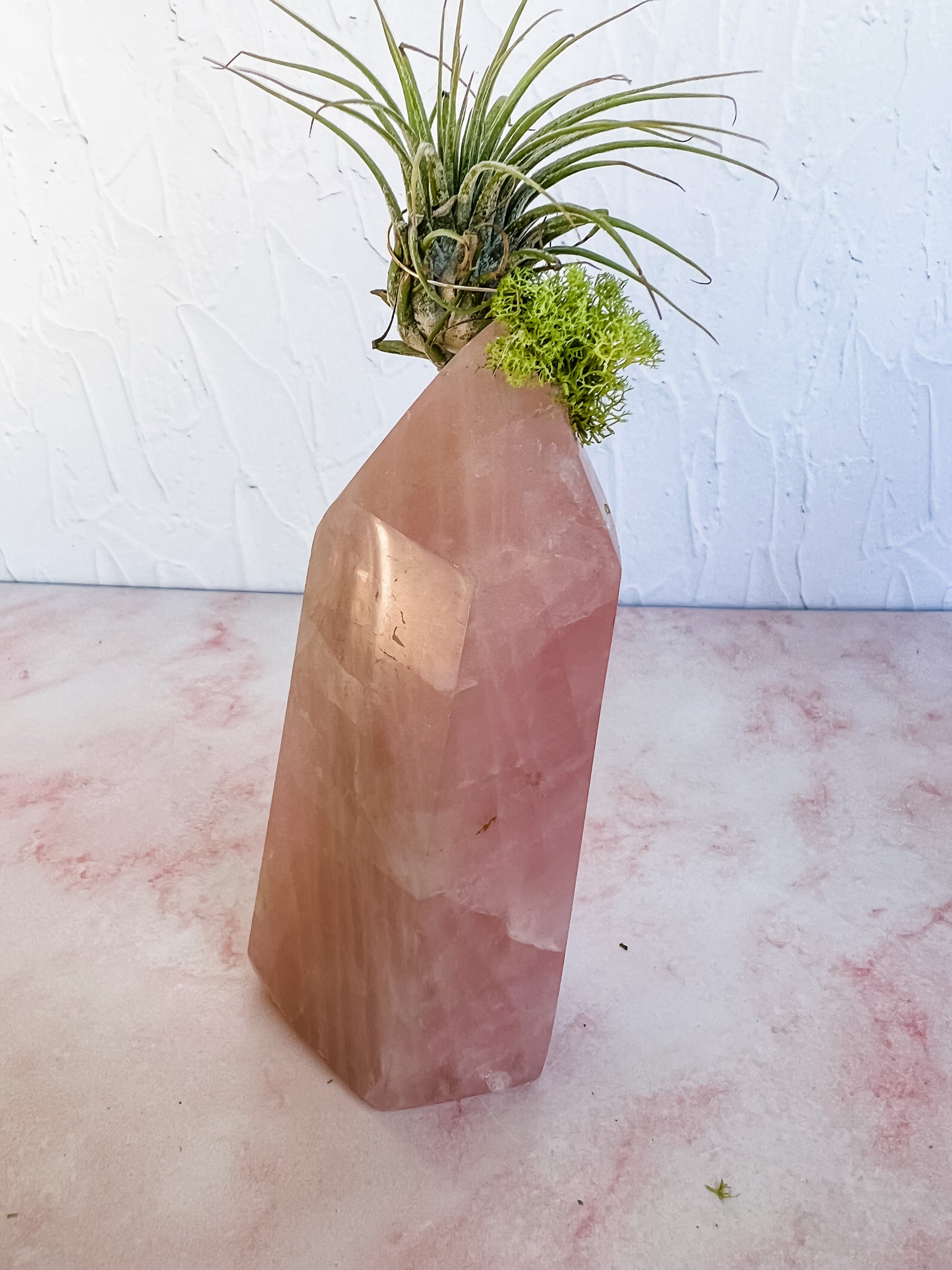 Rose Quartz Tower + Air Plant