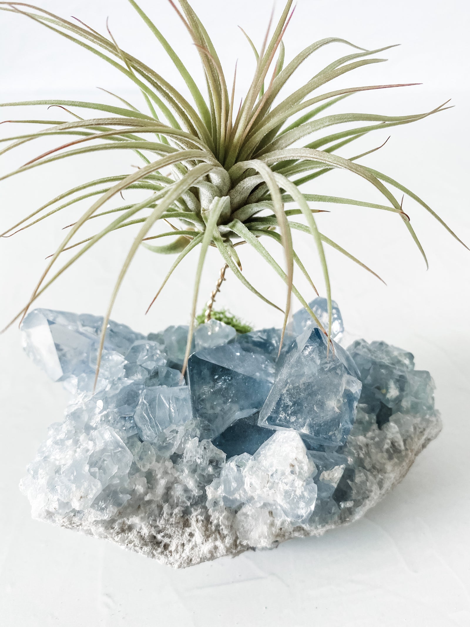 Celestite