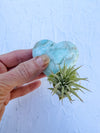 Blue Aragonite Heart small