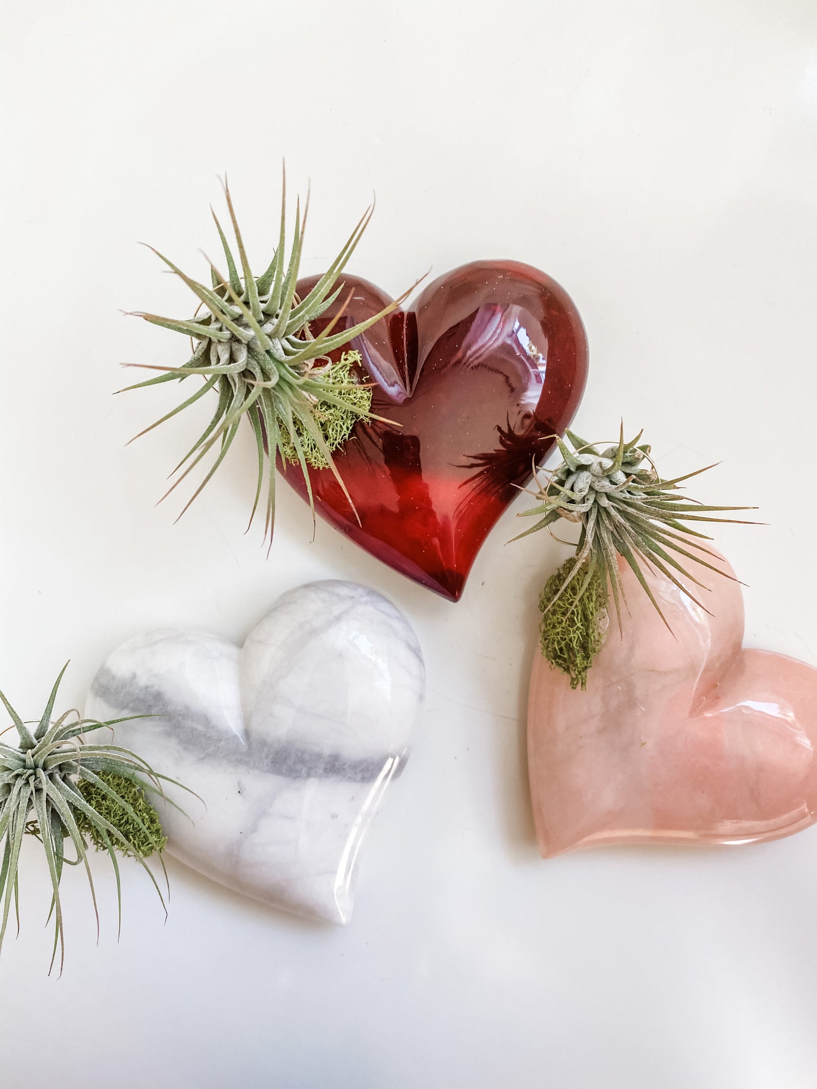 Alabaster Heart + Air Plant