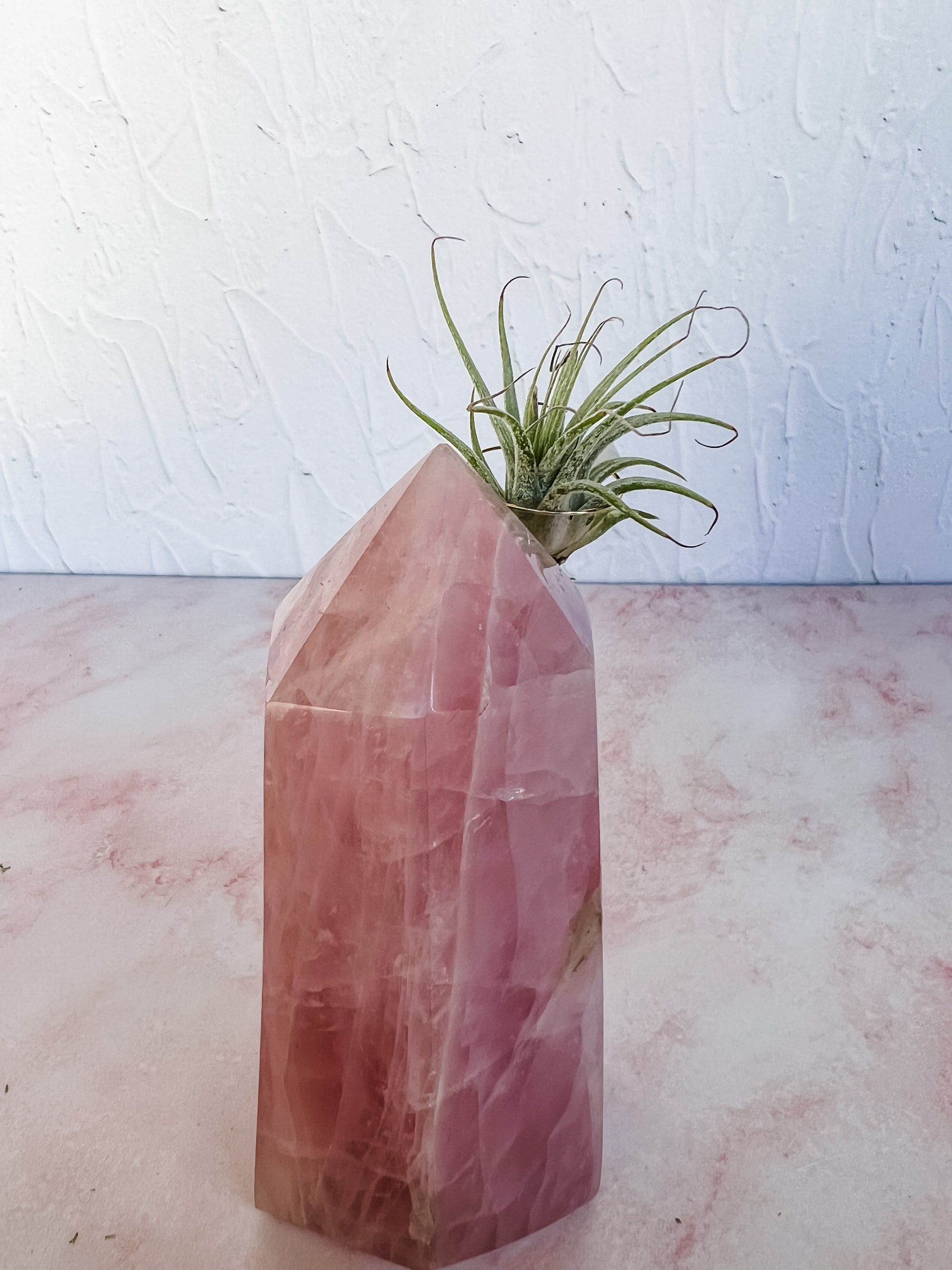 Rose Quartz Tower + Air Plant