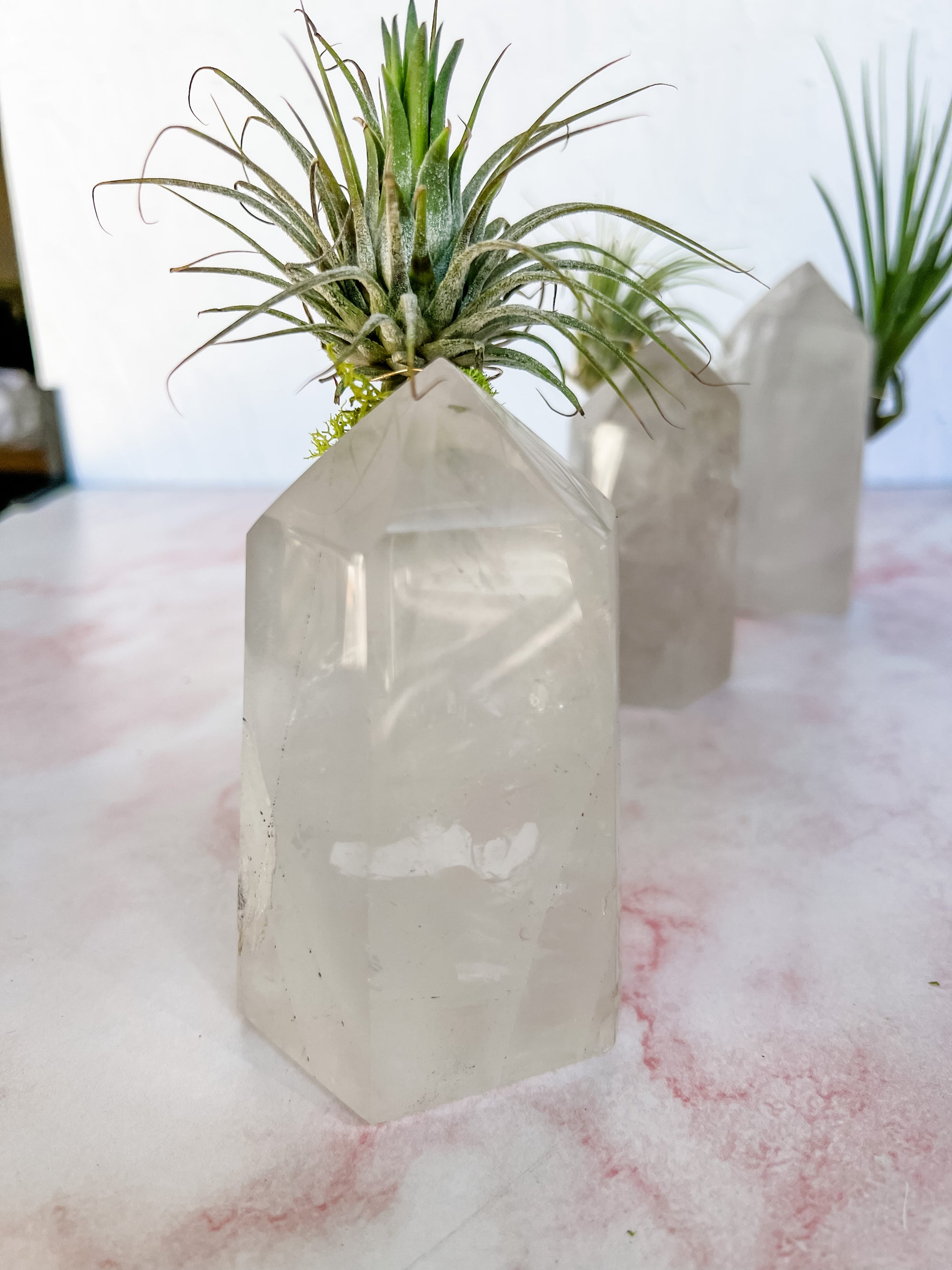 Crystal Quartz Towers + air plant