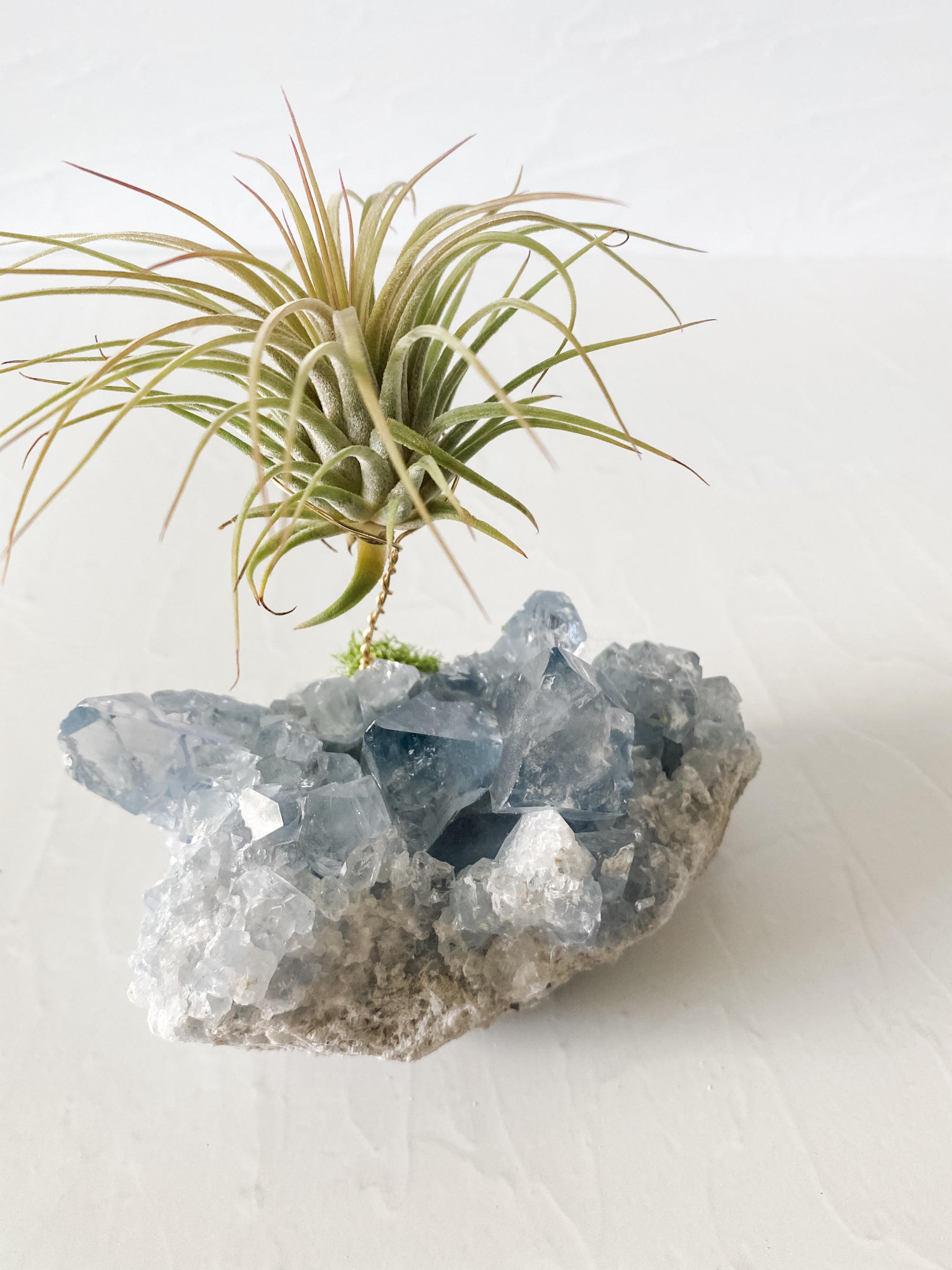 Celestite