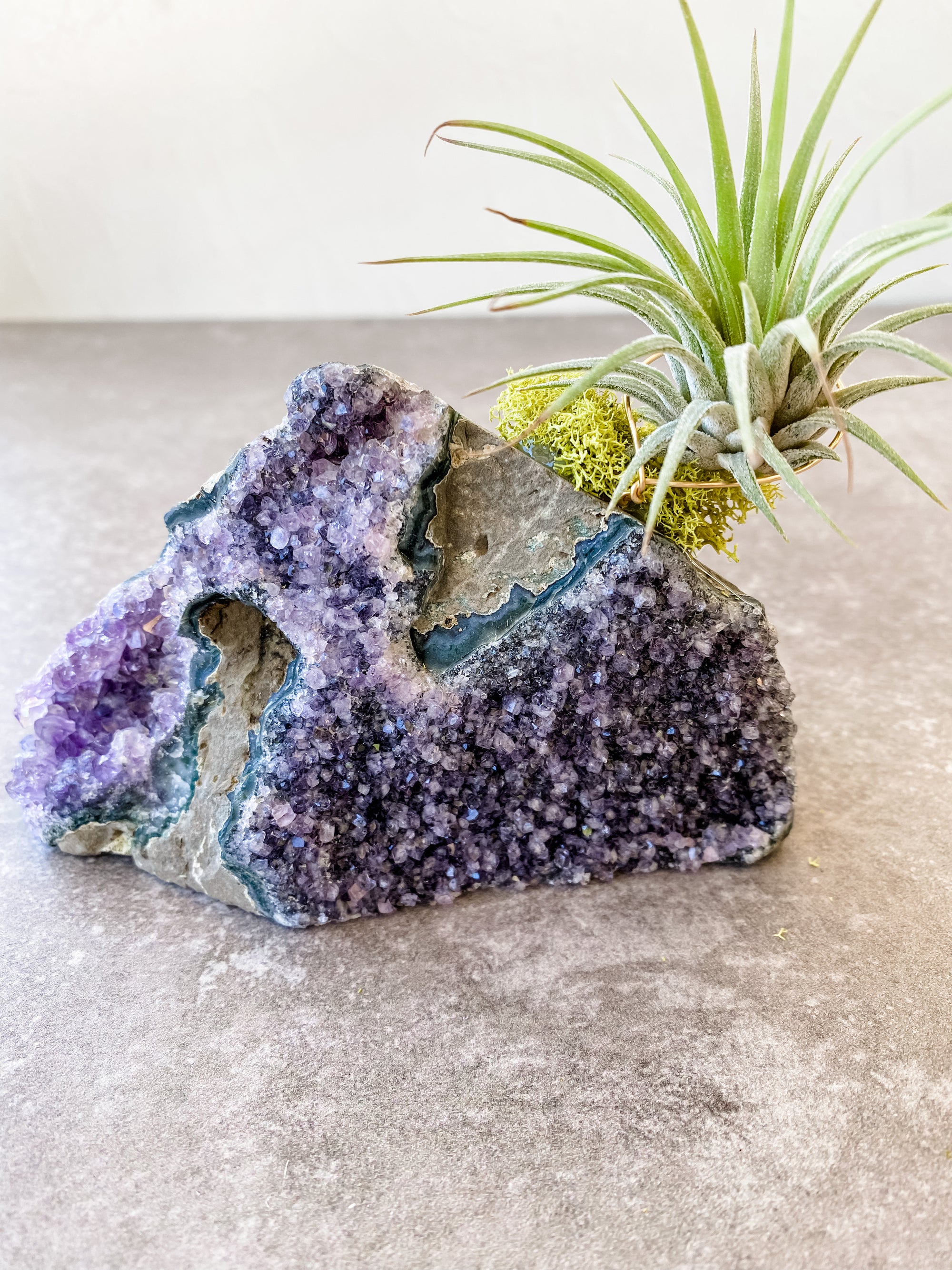 Amethyst Clusters + air plant