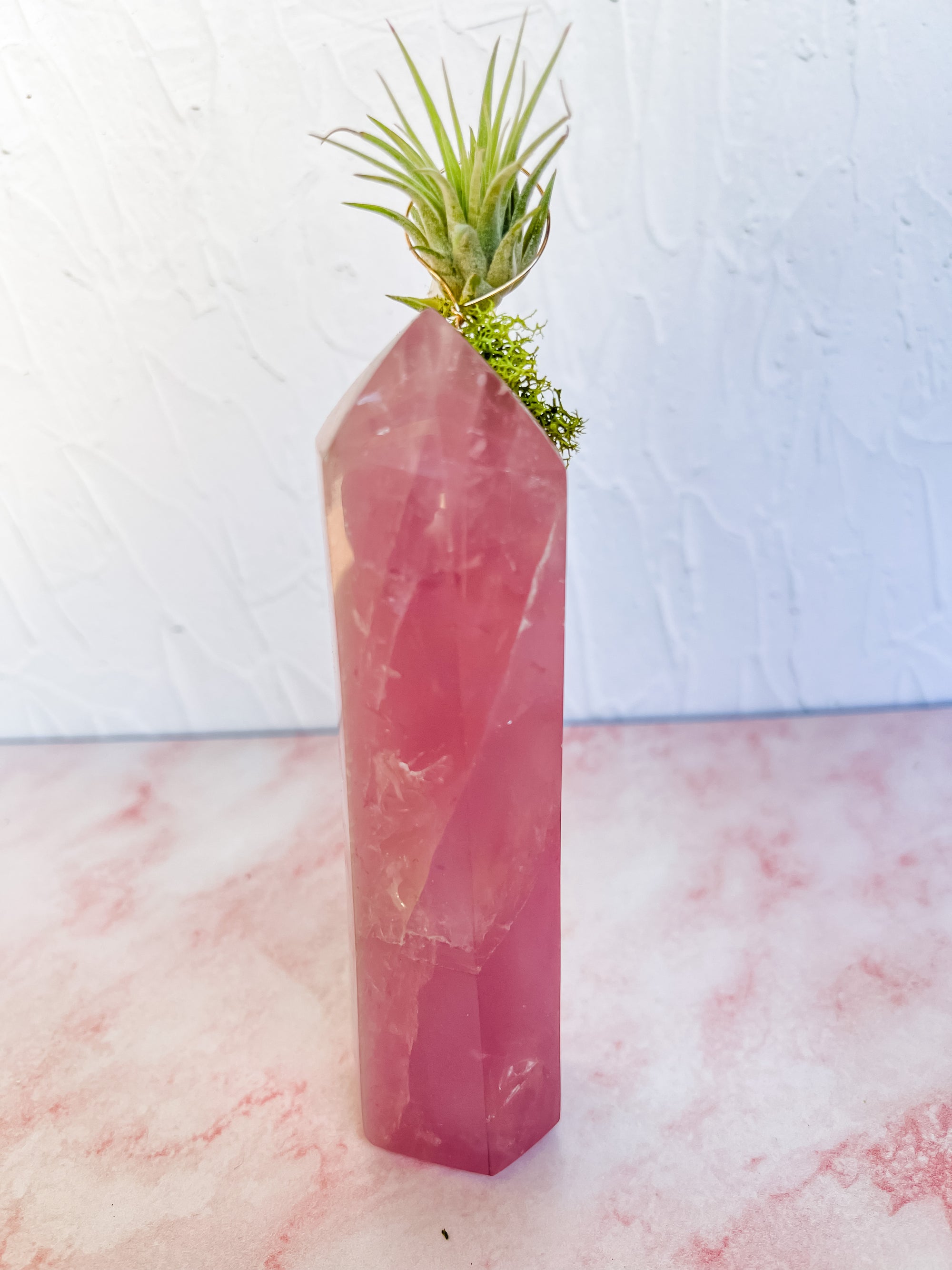Rose Quartz Tower + Air Plant