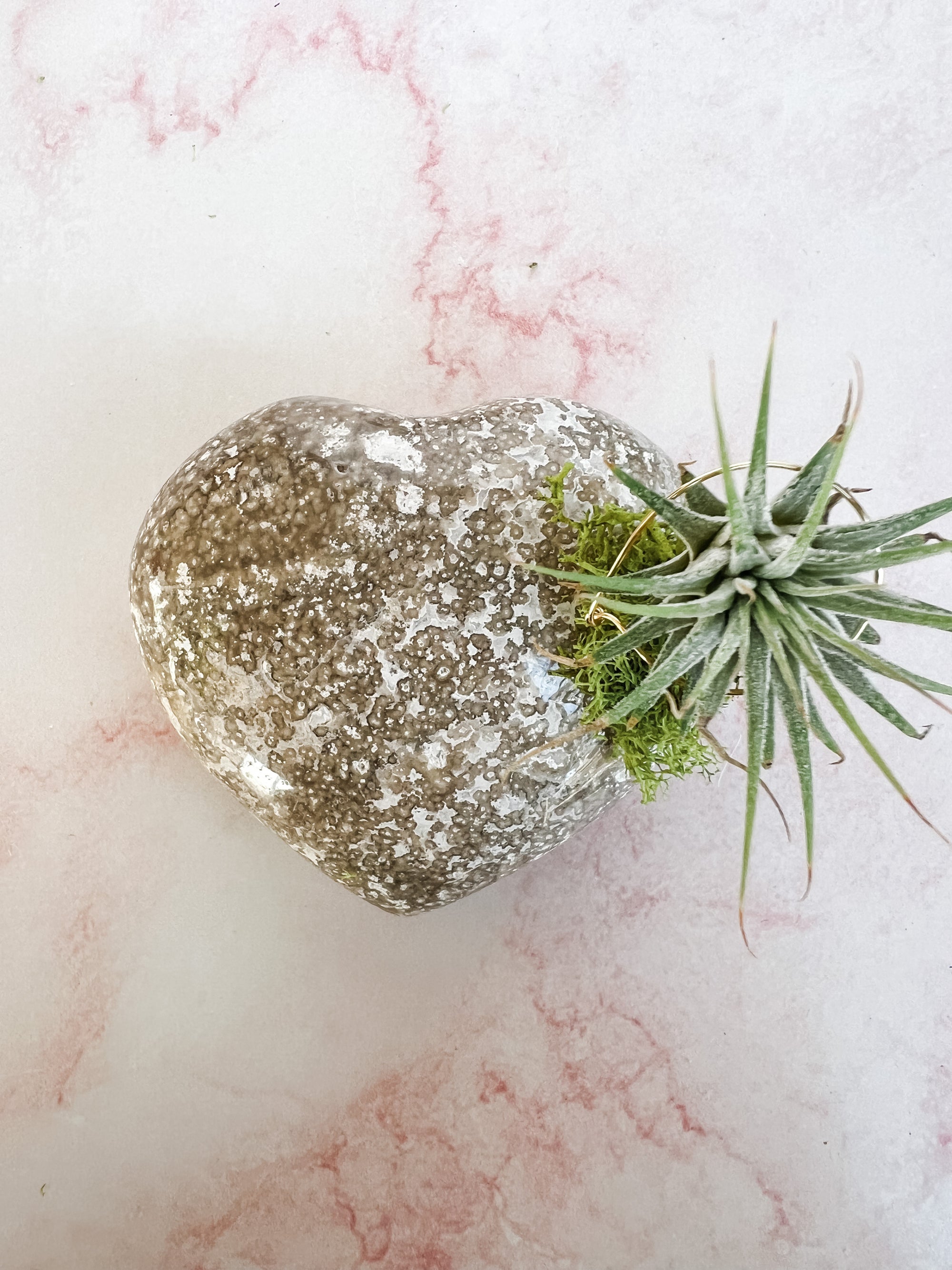 Jasper Heart + Air Plant