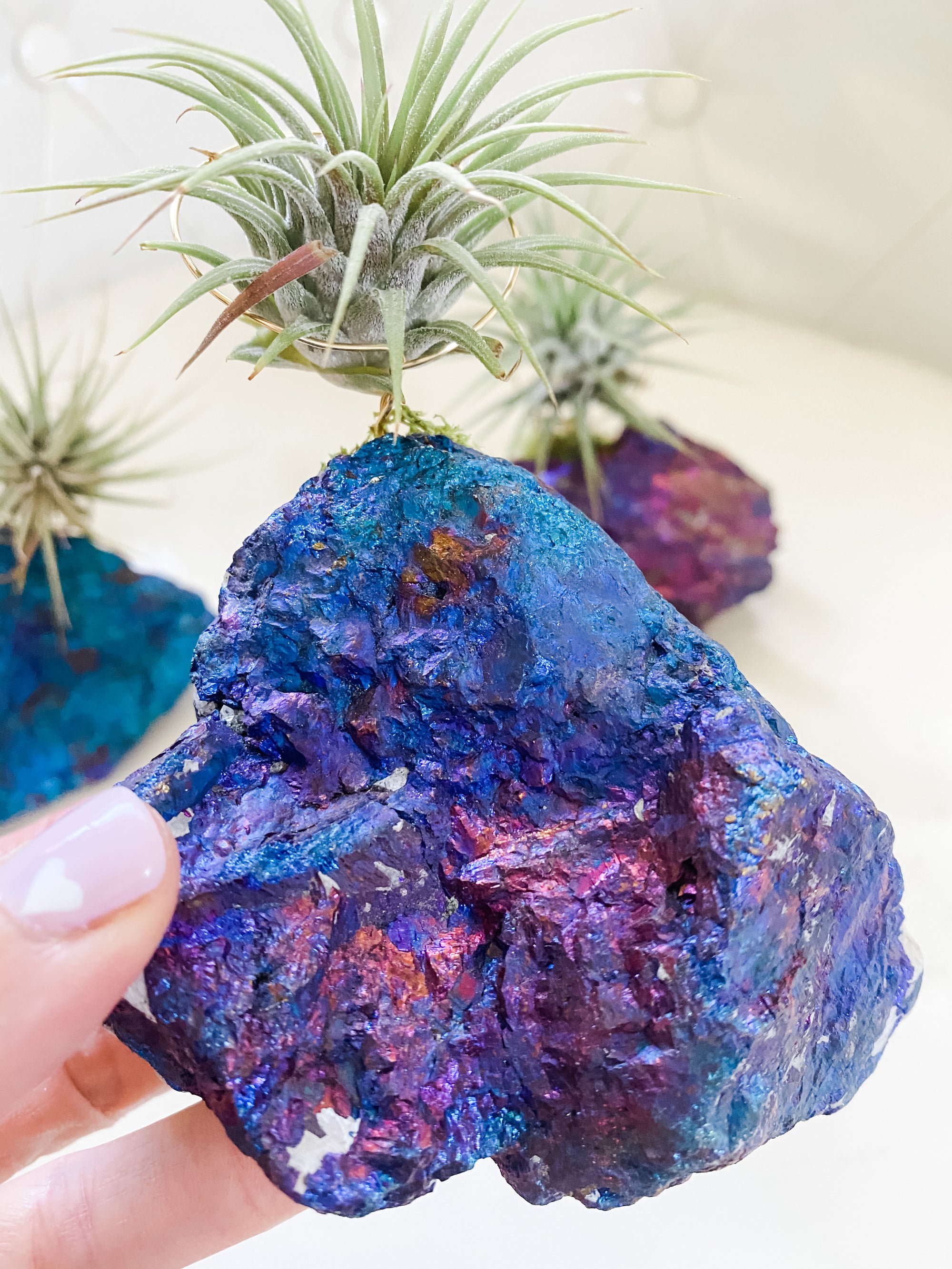 Chalcopyrite Peacock Ore + Air Plant