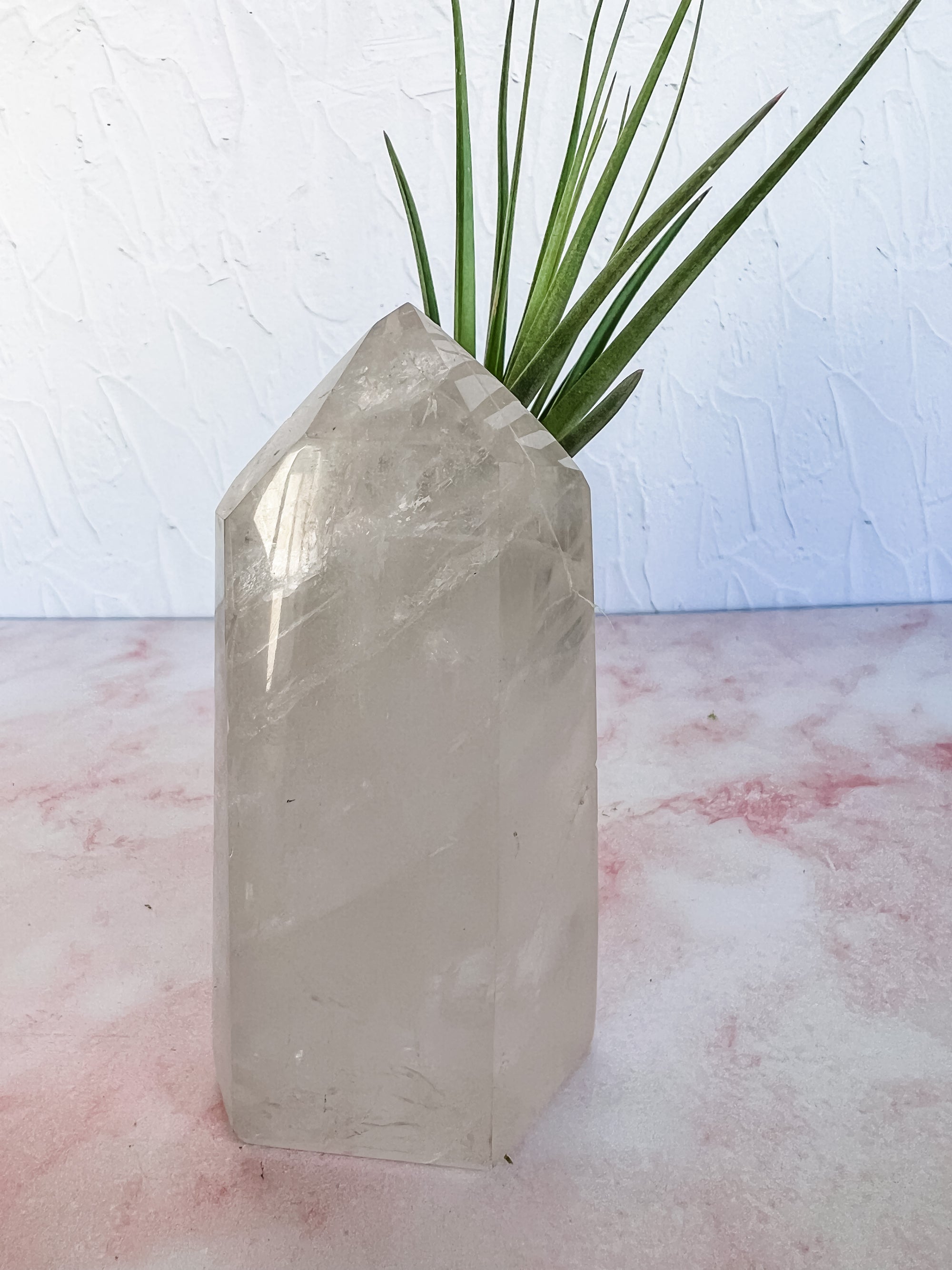 Crystal Quartz Towers + air plant