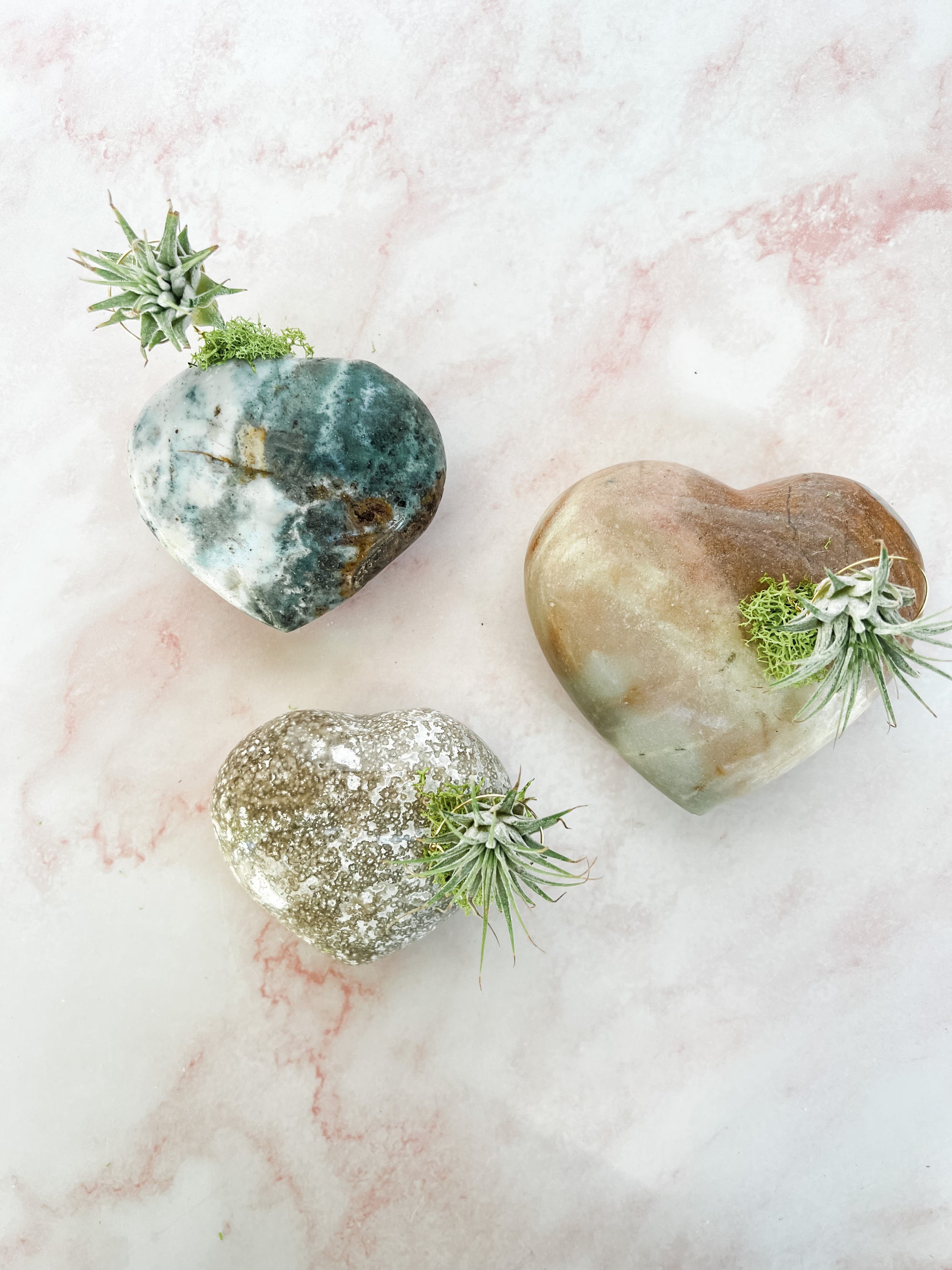 Jasper Heart + Air Plant