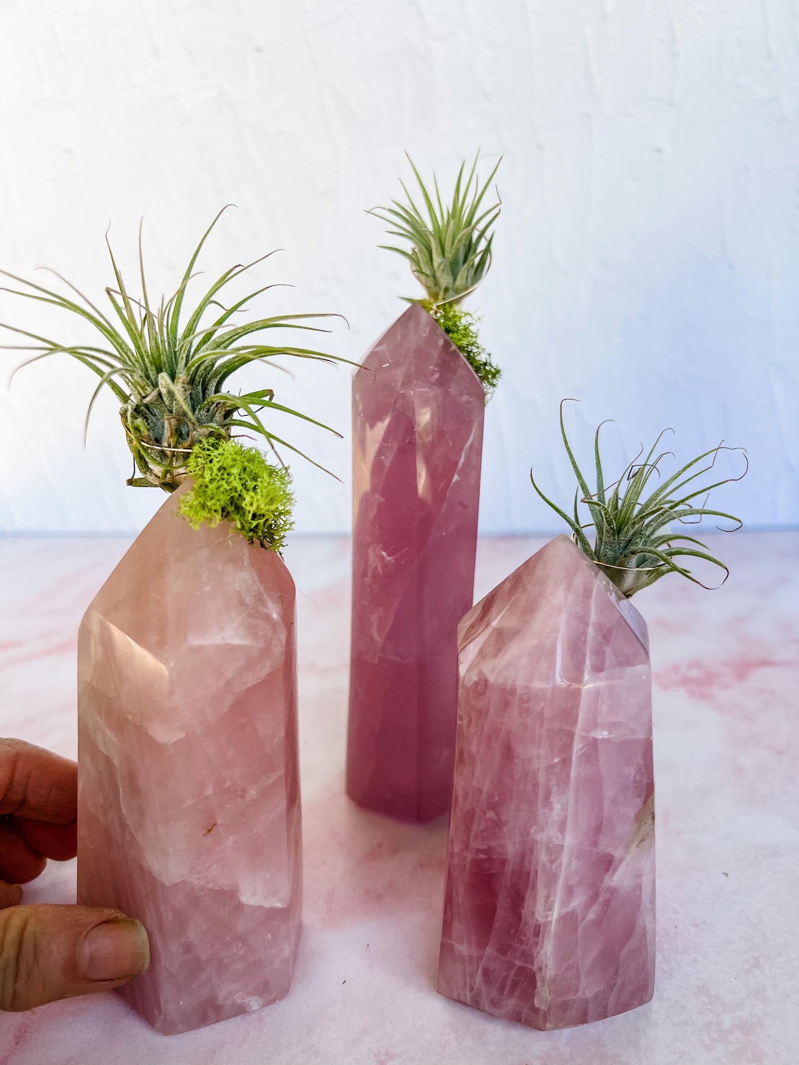 Rose Quartz Tower + Air Plant