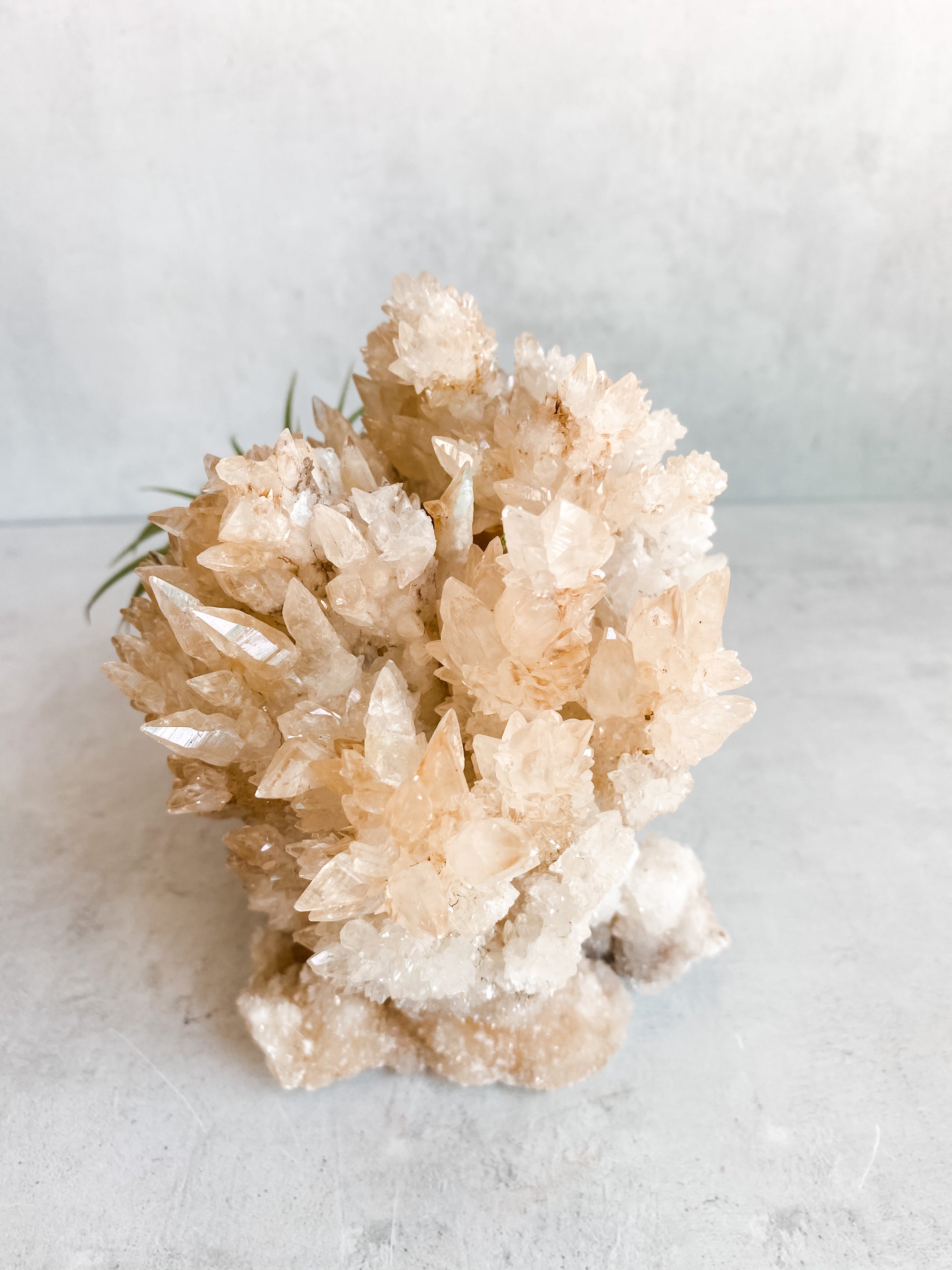 Aragonite