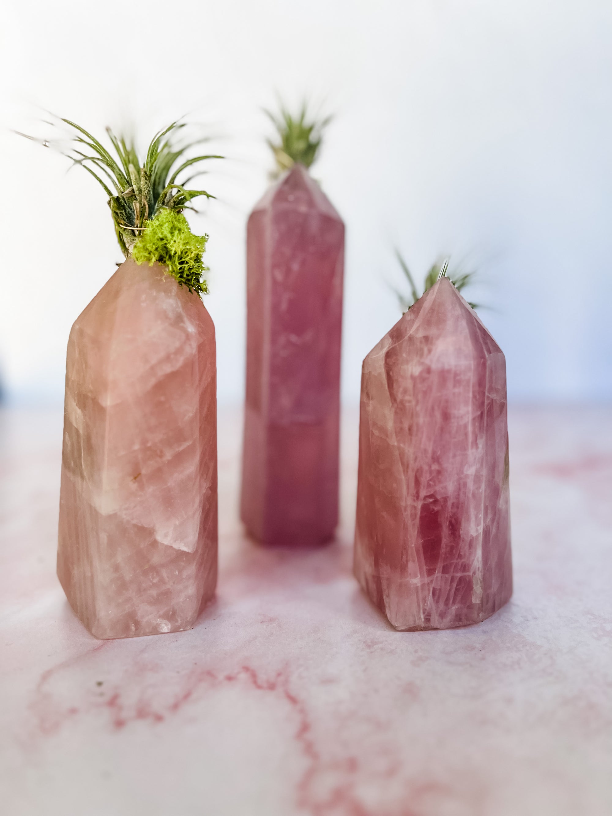 Rose Quartz Tower + Air Plant