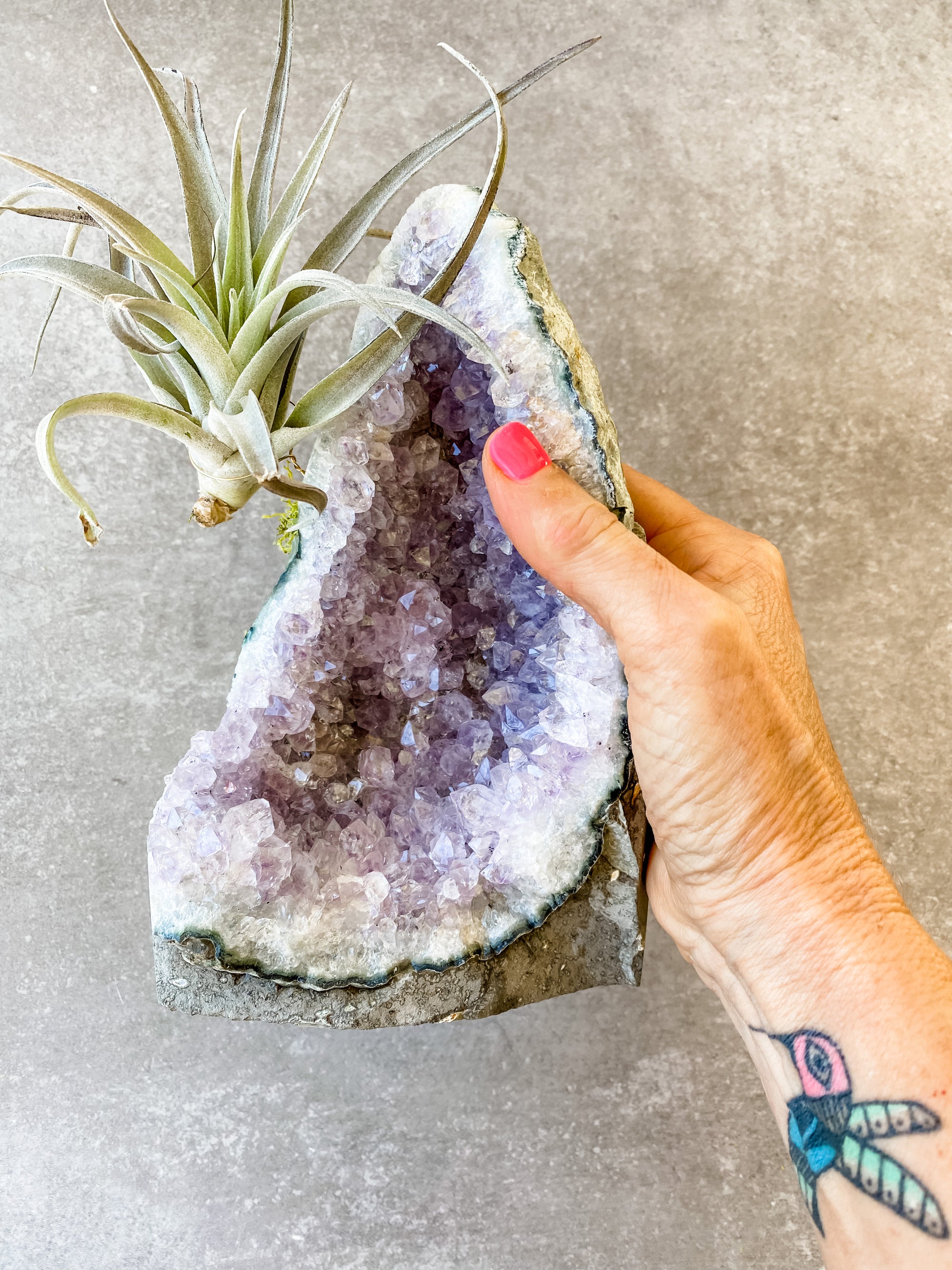 Amethyst Clusters + air plant