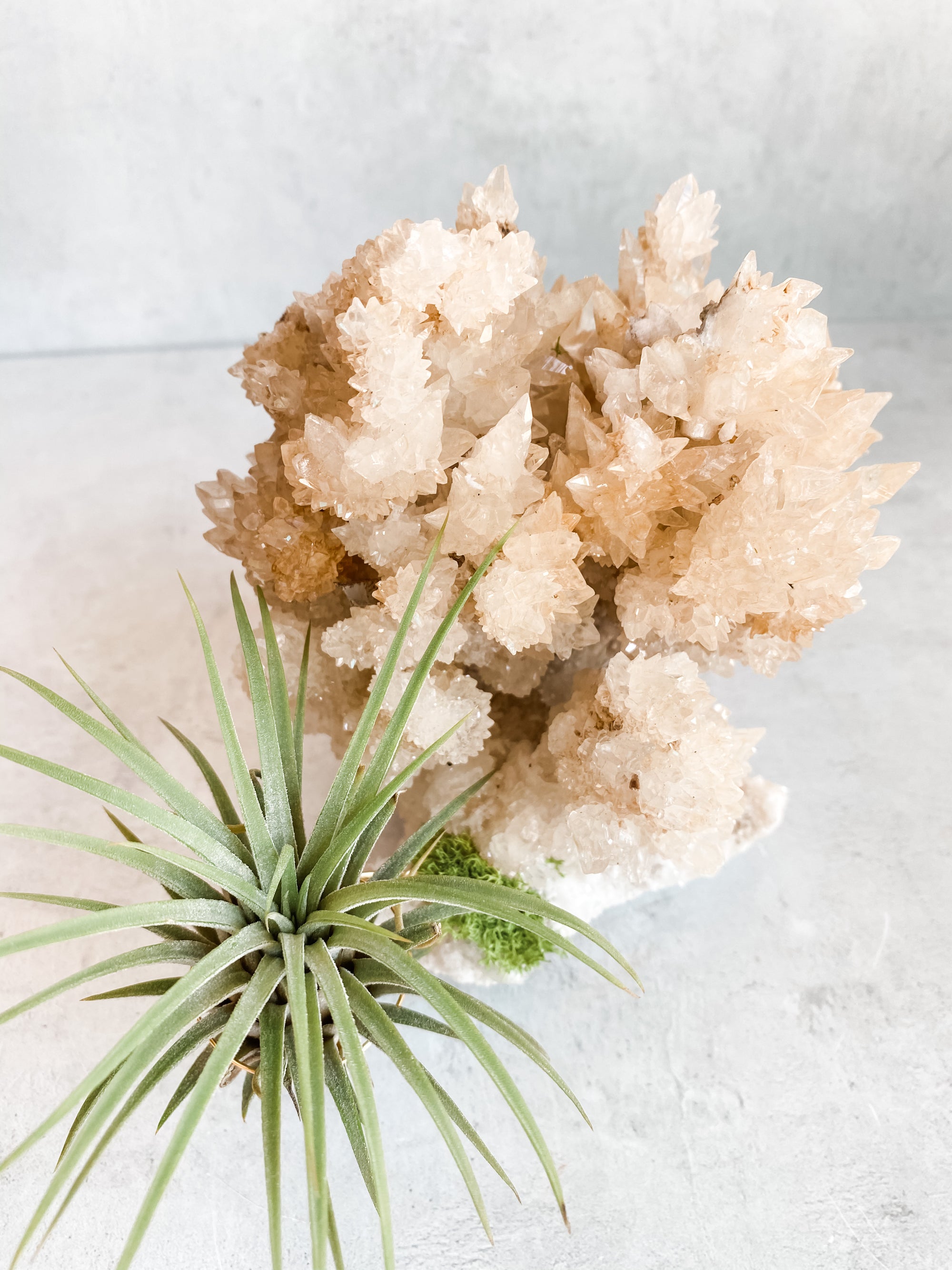 Aragonite