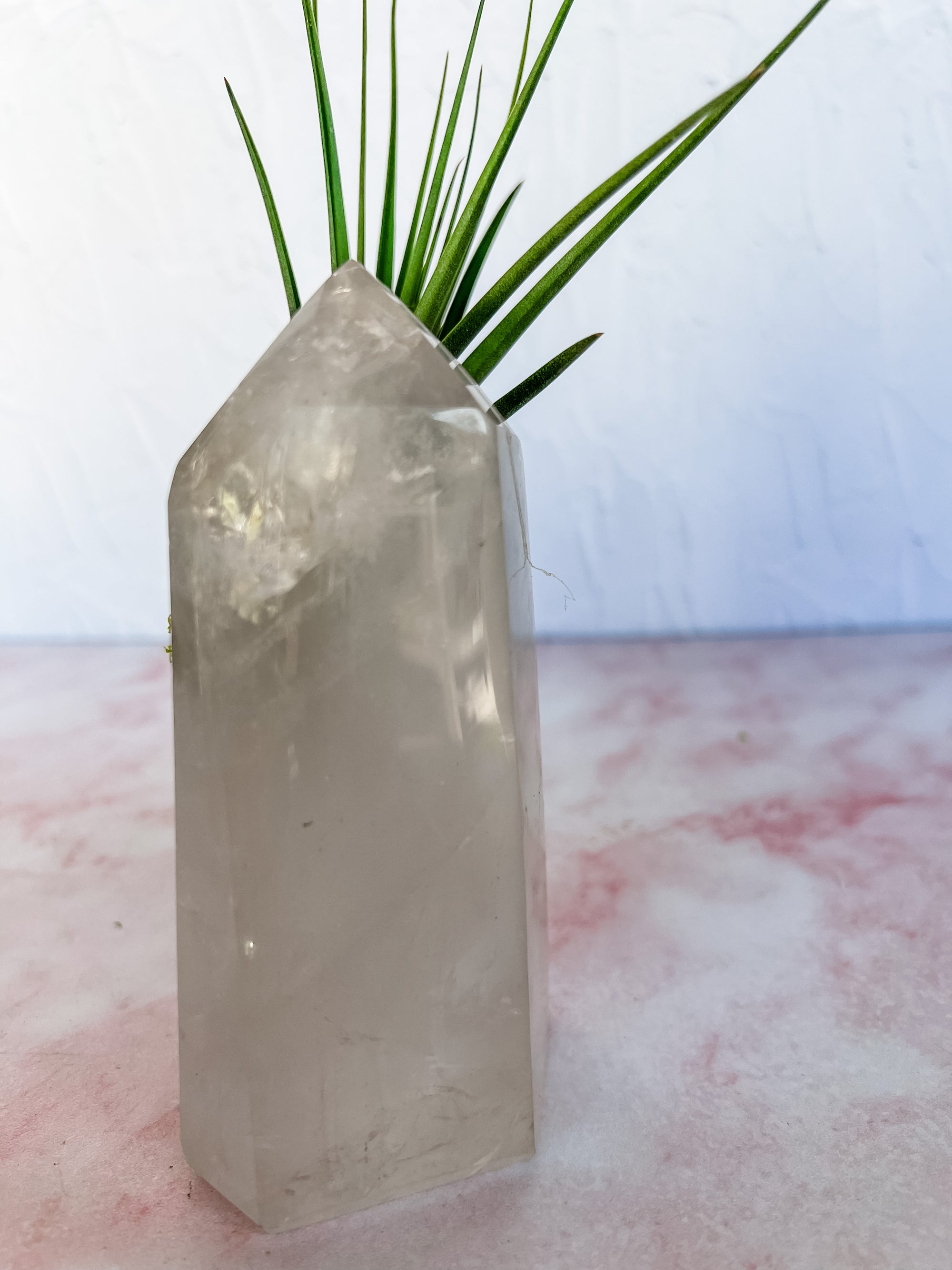 Crystal Quartz Towers + air plant