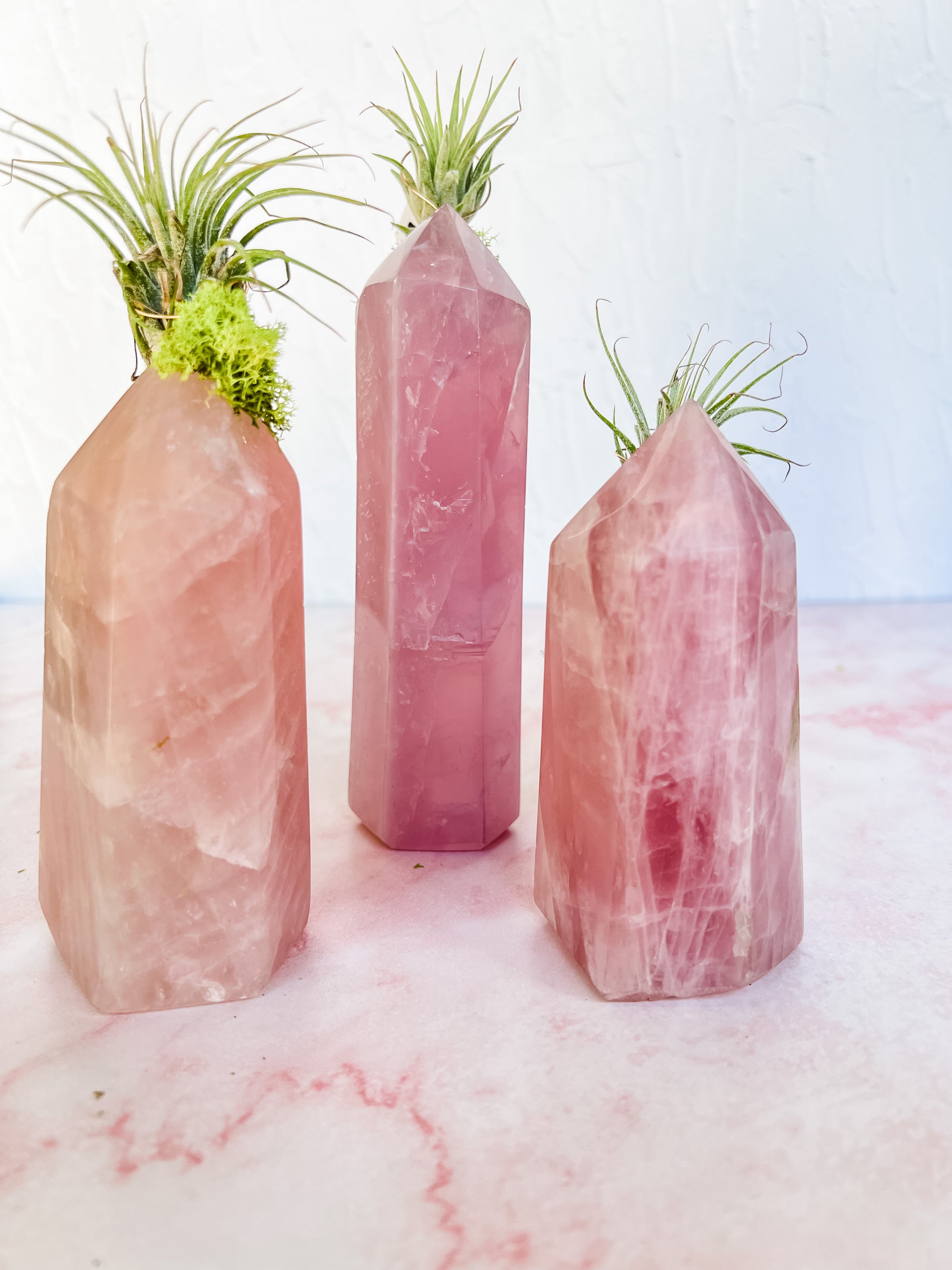 Rose Quartz Tower + Air Plant