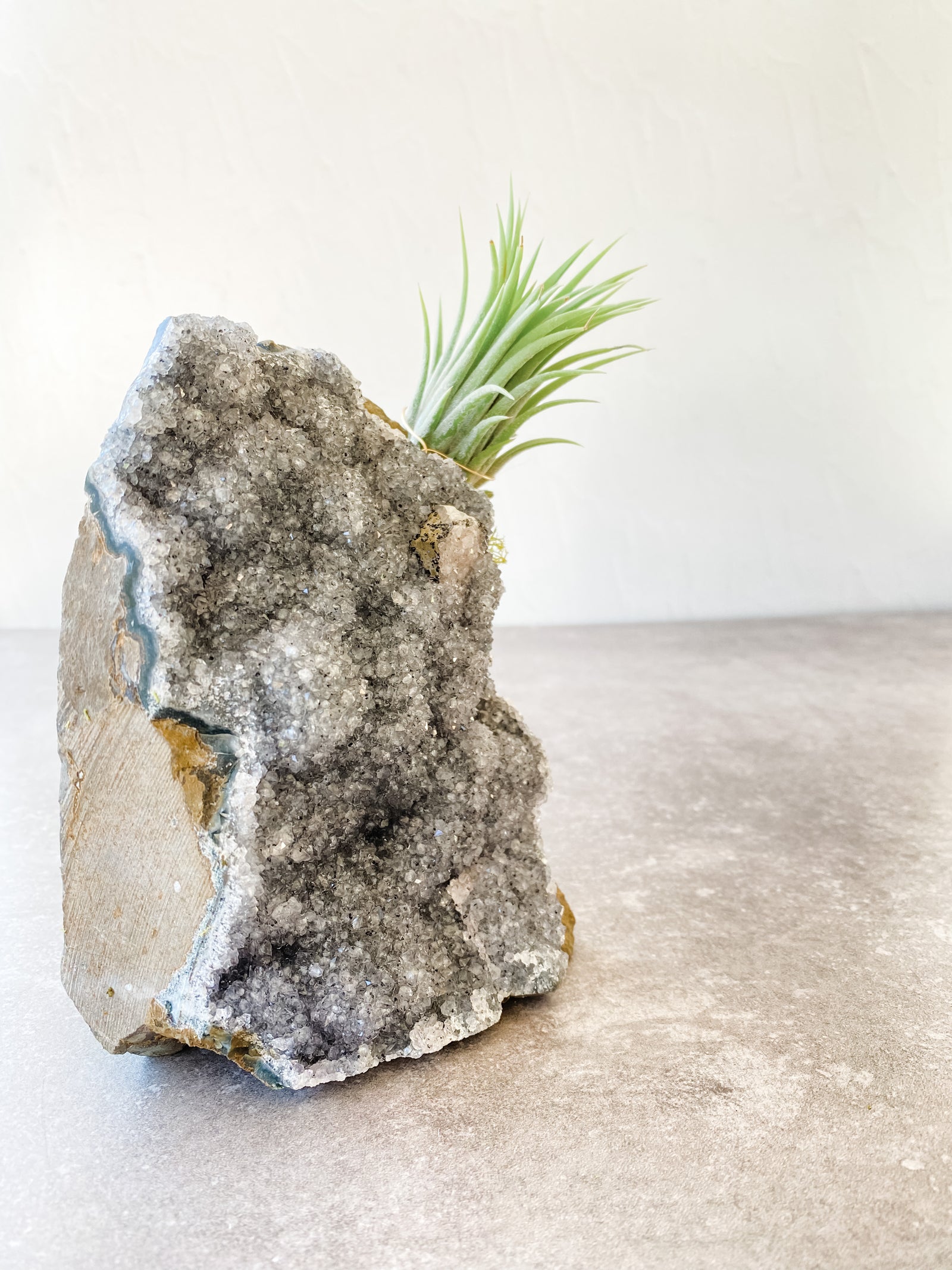 Amethyst Clusters + air plant