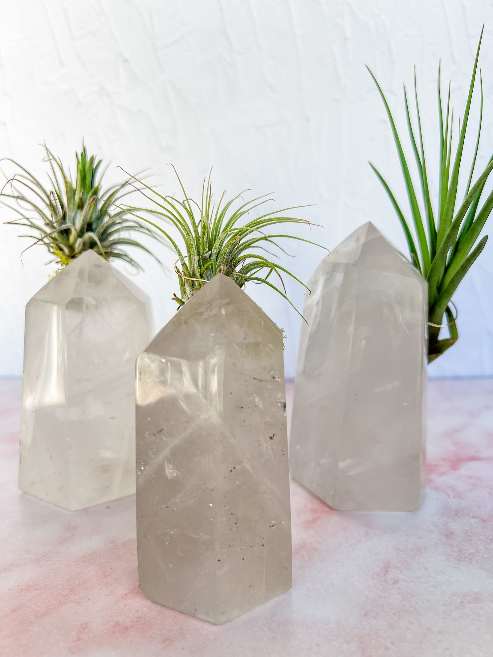 Crystal Quartz Towers + air plant