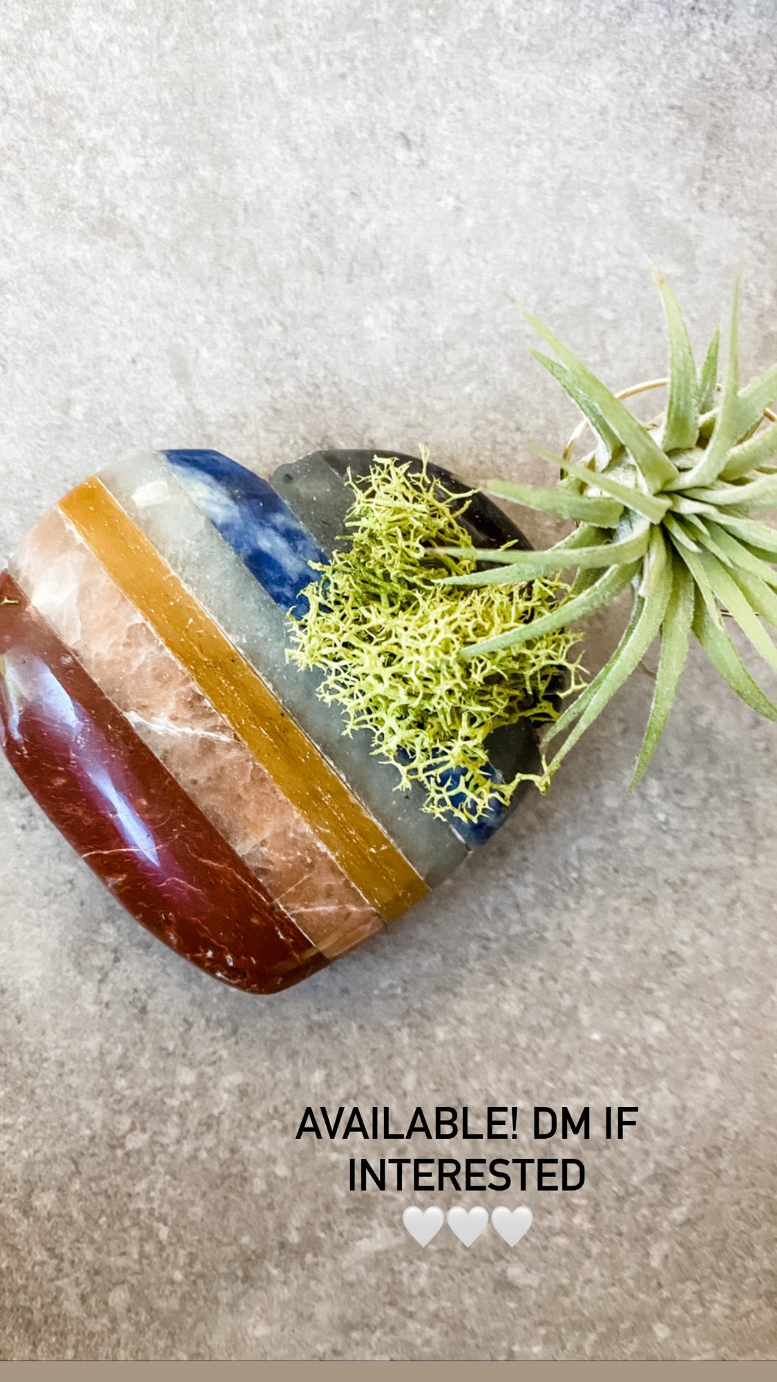 Chakra Pyramid + Air Plant