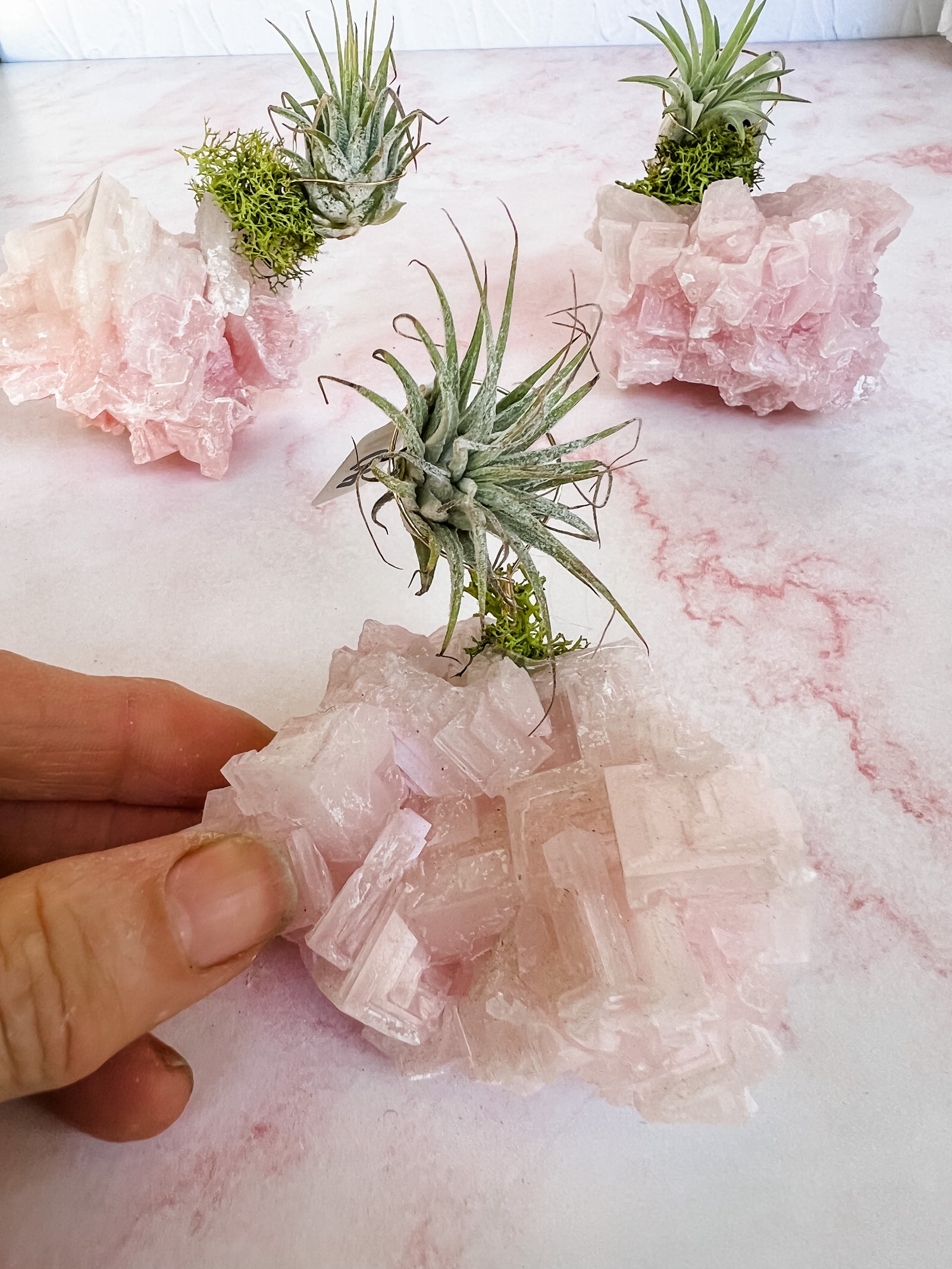 Pink Halite