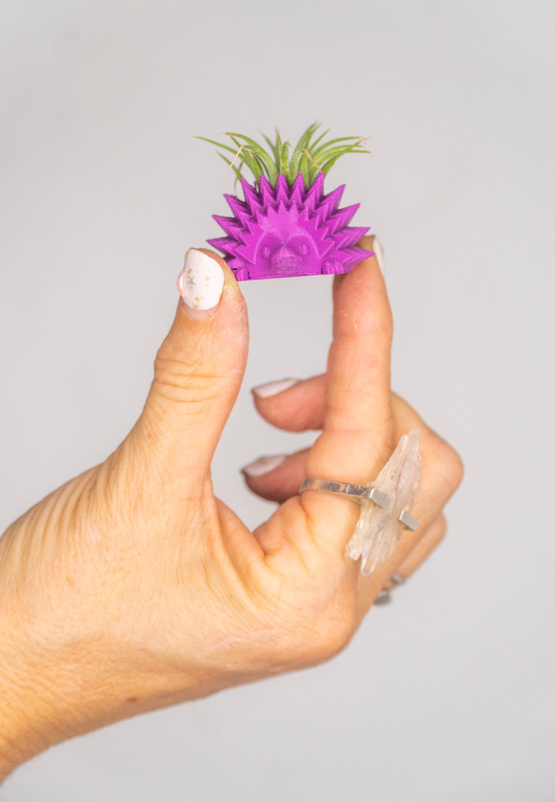 Mini Hedgehog Planter + Air Plant - Lucky Air Plant