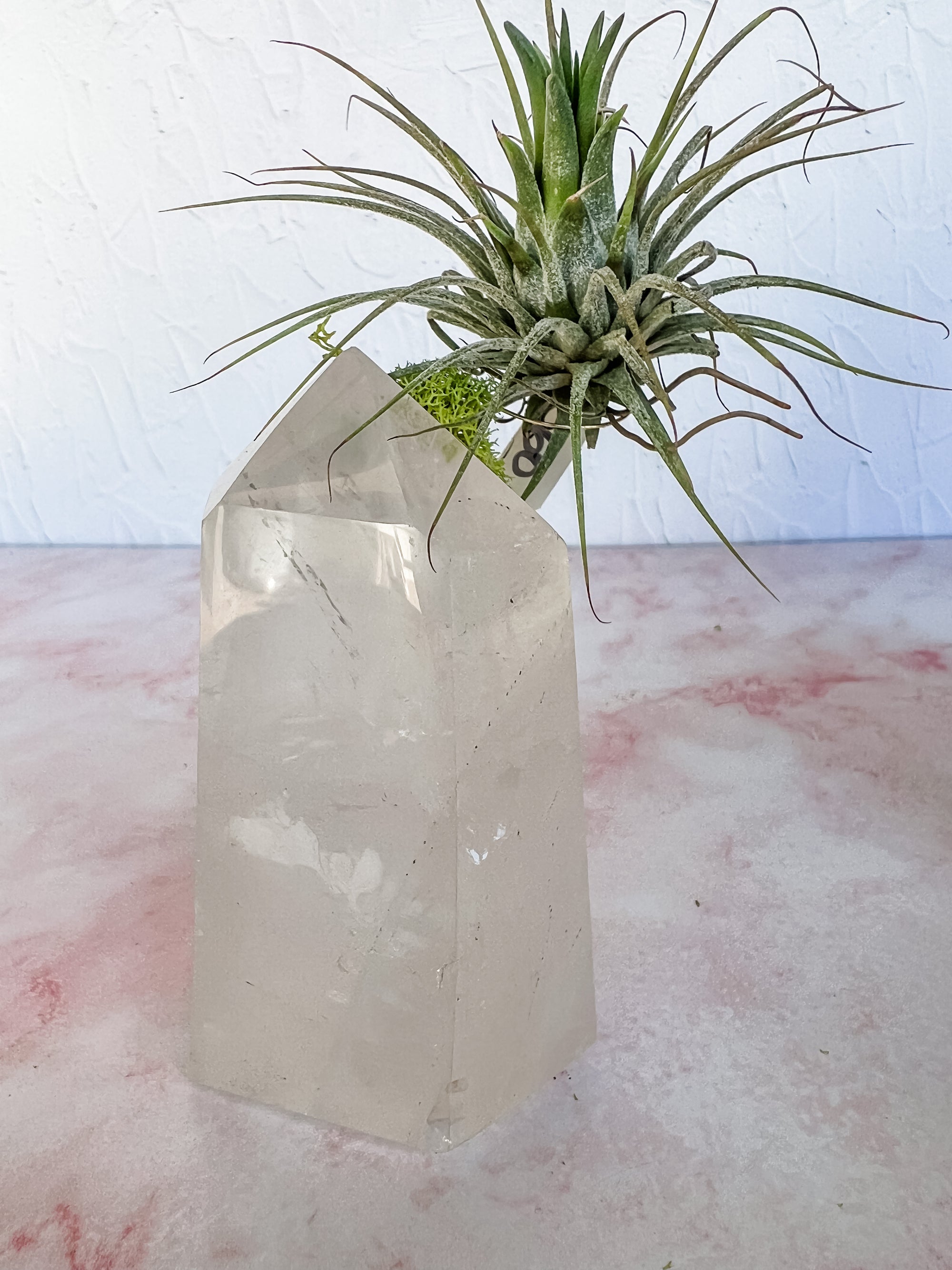 Crystal Quartz Towers + air plant
