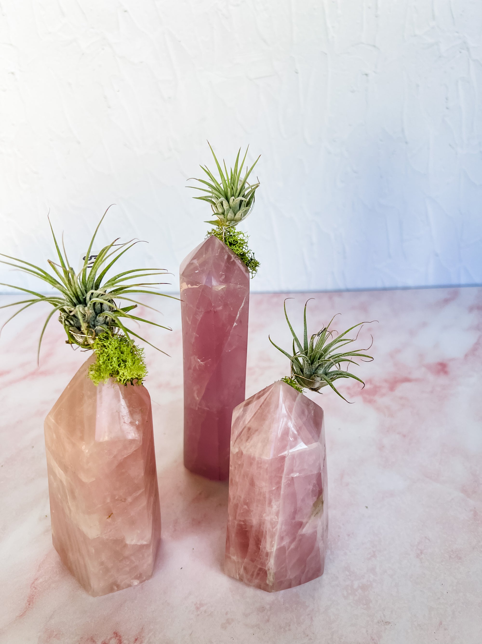 Rose Quartz Tower + Air Plant