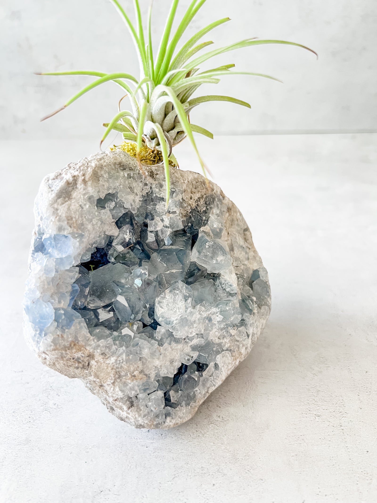 Celestite