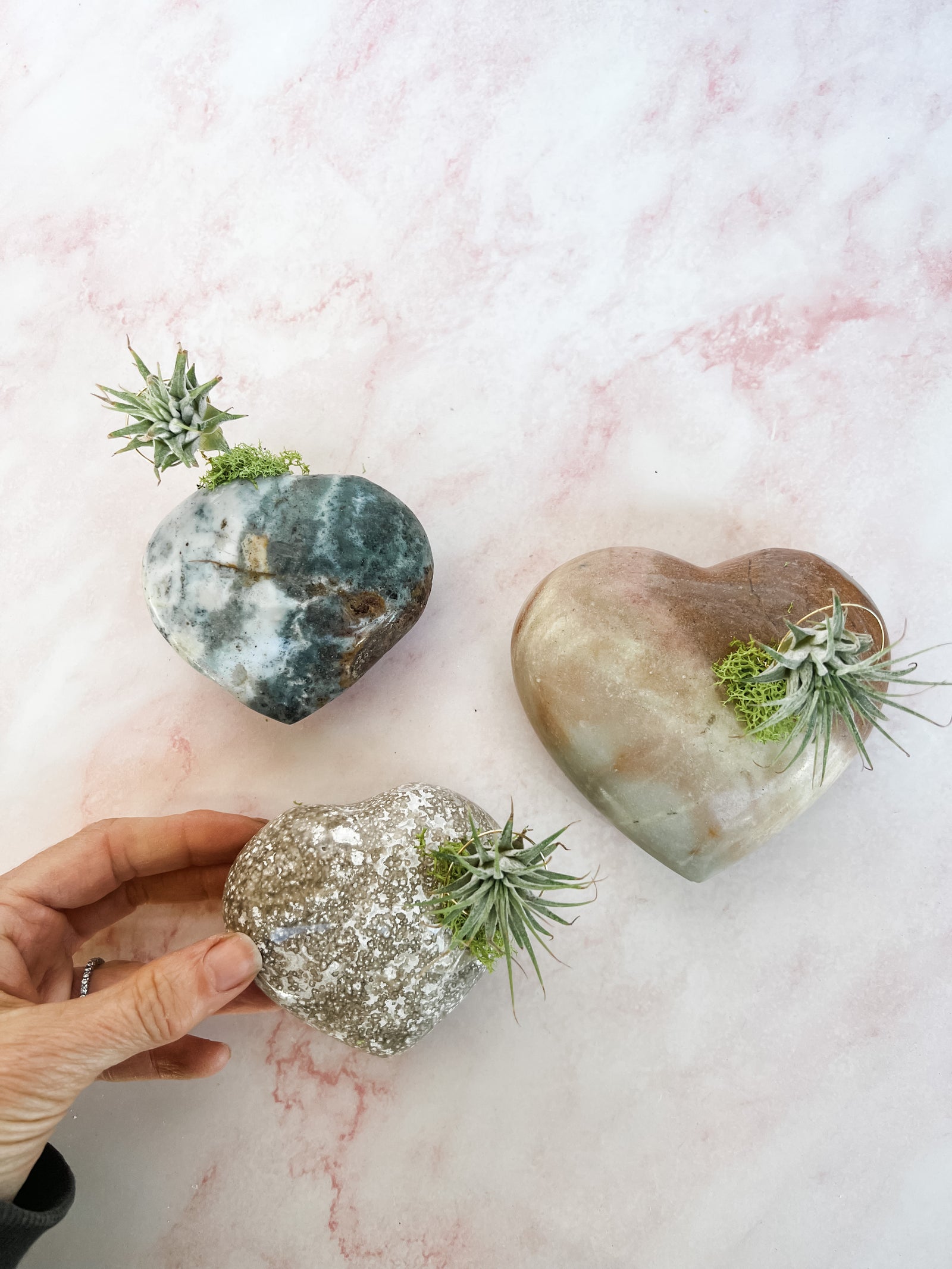 Jasper Heart + Air Plant