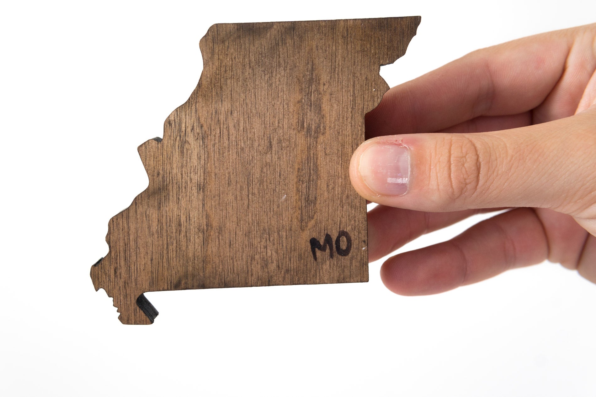 Missouri State Wooden Cut Out Magnet  + Air Plant www