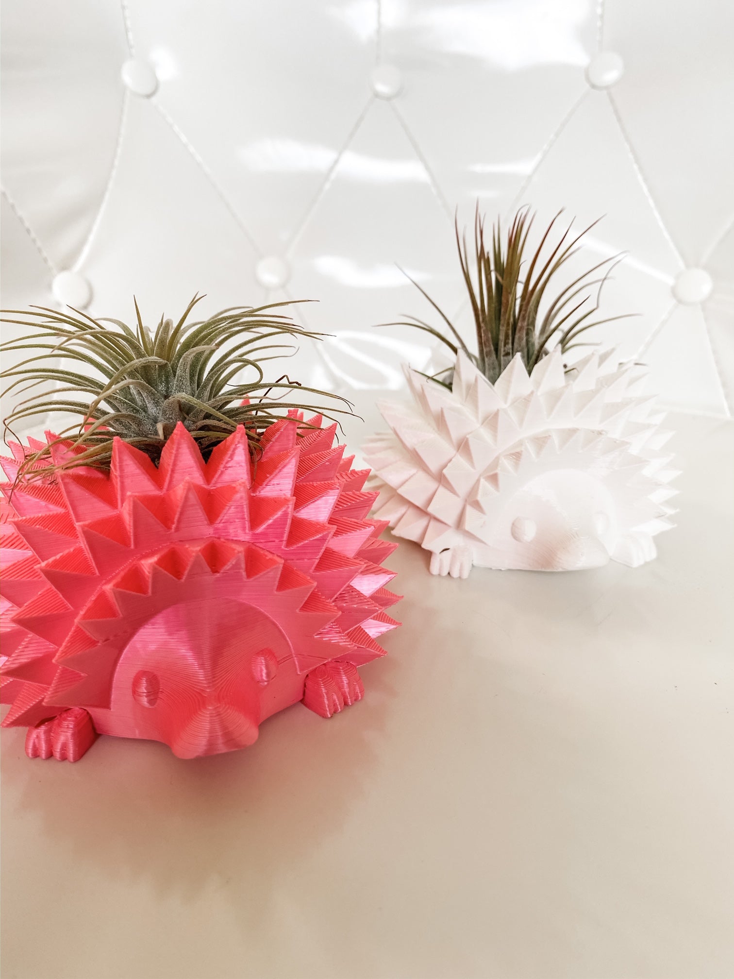 Hedgehog Planter + Air Plant