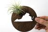 Virginia State Wooden Cut Out Magnet  + Air Plant